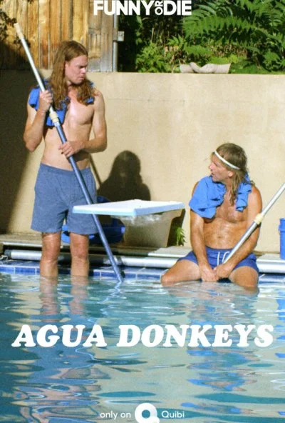 Agua Donkeys (2020)