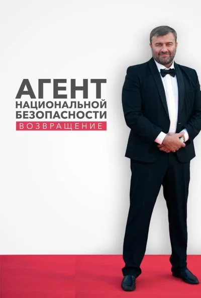 Агент национальной безопасности. Возвращение (2019)