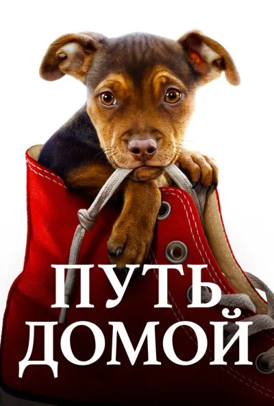 Путь домой (2019)